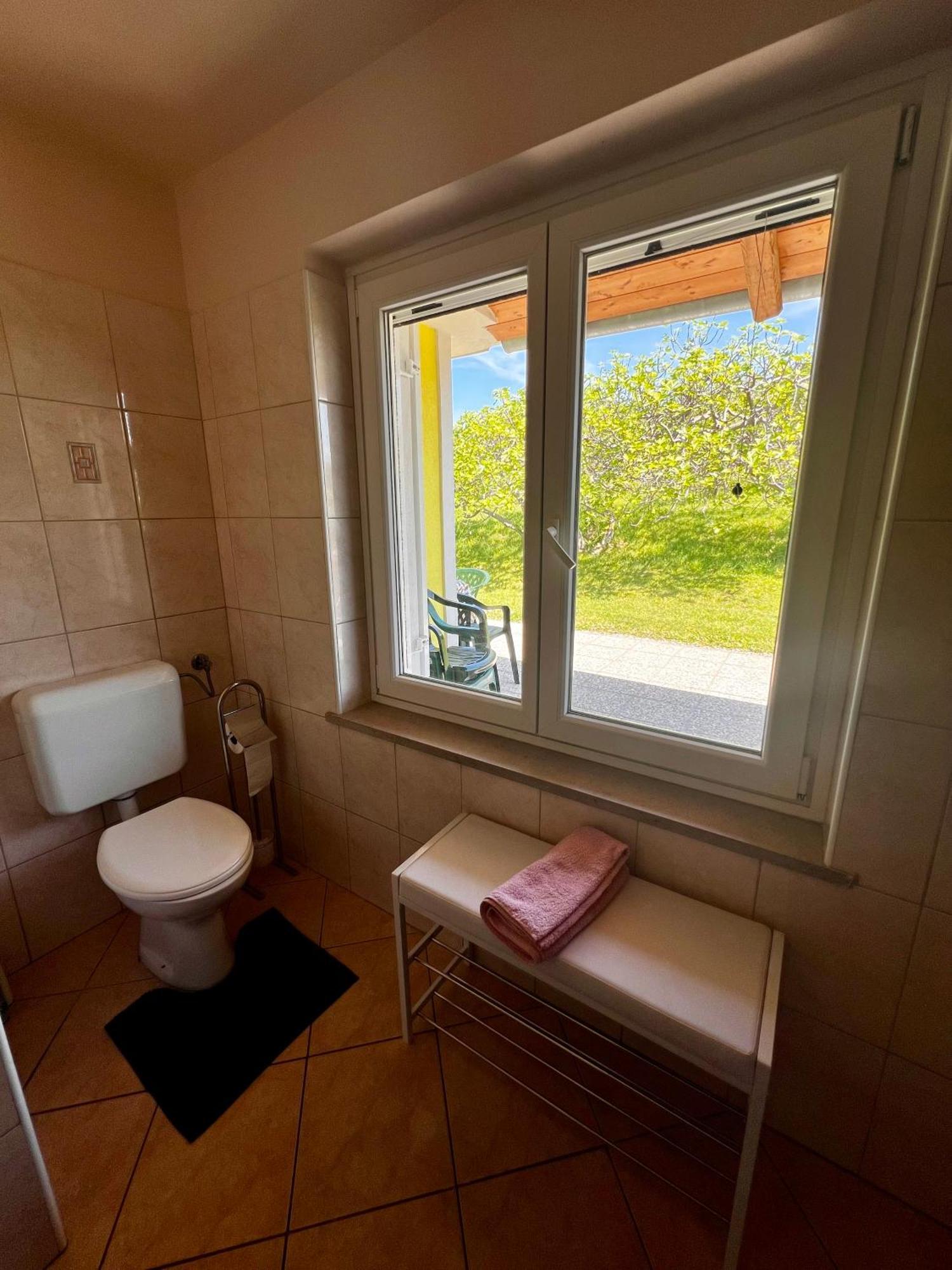 Na Kmetiji S Konji - Pogelsek Apartment Анкаран Екстериор снимка